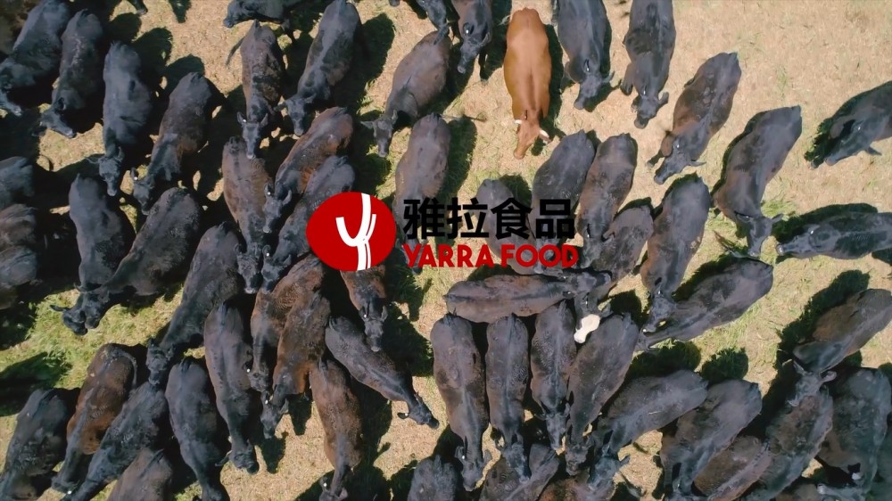 澳洲牧場